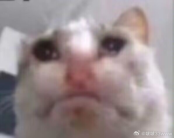 #微博评论回复 丑猫被回复的评论 9 分钟前 @啵啵33www