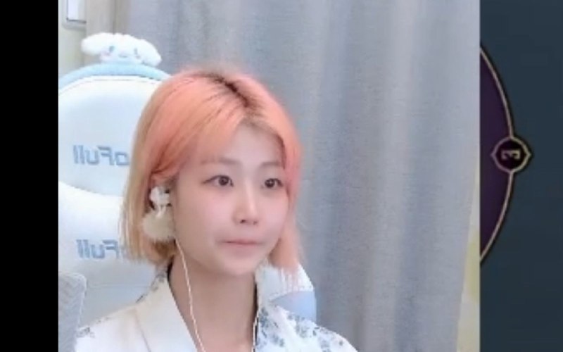 #b站视频转发 ＃小狗说 本周  周五周日晚上八点我去上课了挥挥我去捡花了拜拜被转作者