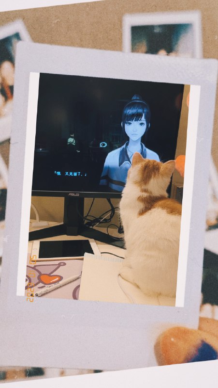 #b站相册动态 2/2