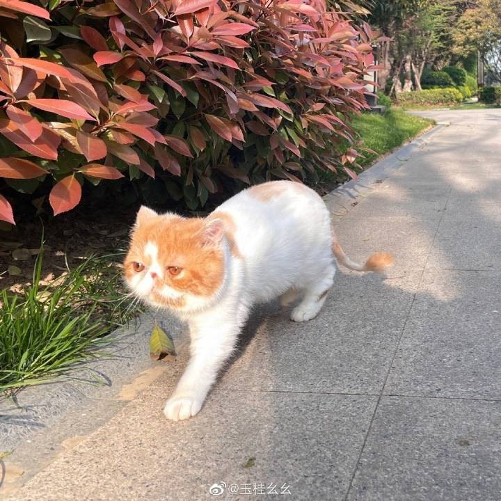 #b站相册动态 4/9