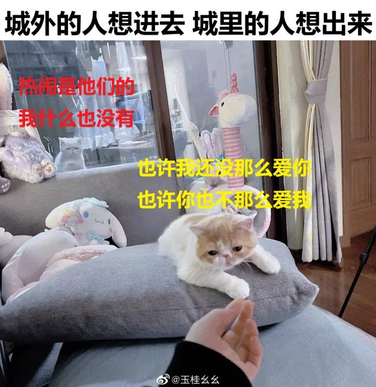 #珈乐魂 #b站相册动态 啵预约