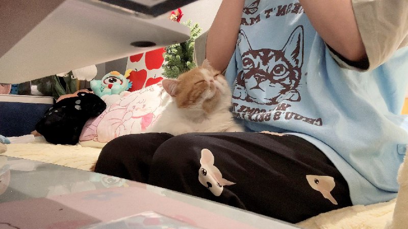 #微博照片 2/9