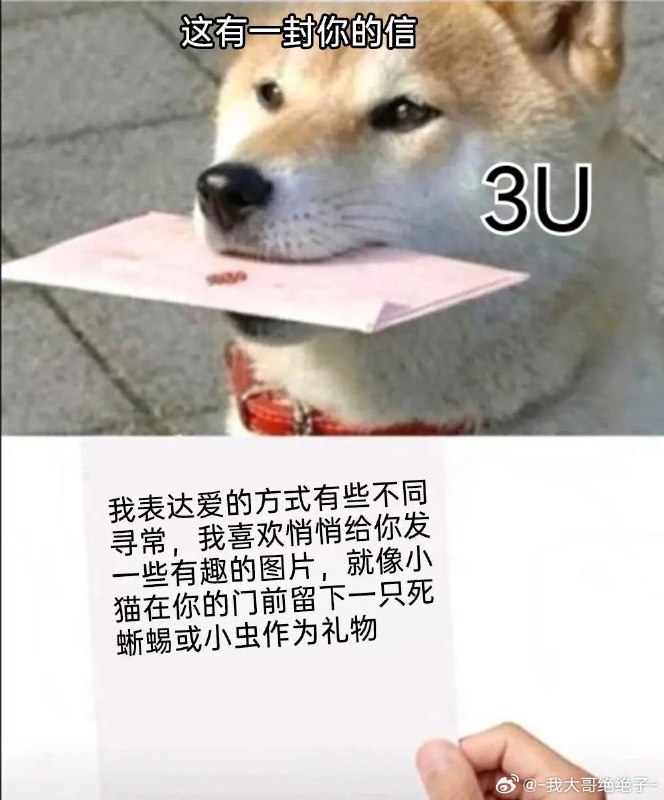 #b站相册动态 ＃小狗说 冬天看海海永远年轻我的爱也是50 秒前 | -三松许-
