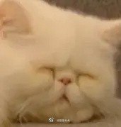 #微博照片 共 9 张