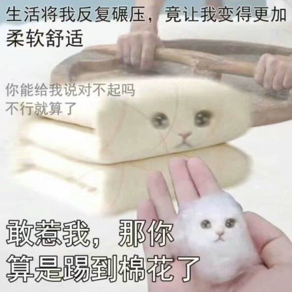 #b站相册动态 ＃小狗说 敢惹我！那你算是踢到小棉花啦！晚安明天见[UP_33605910_啵啵][UP_33605910_啵啵][UP_33605910_啵啵]25 秒前 | -三松许-