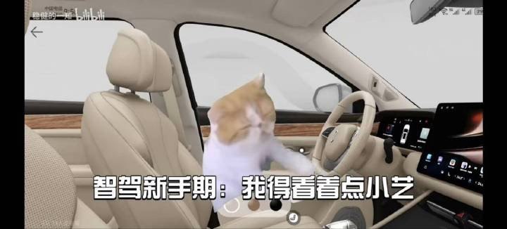 #b站相册动态 2/9