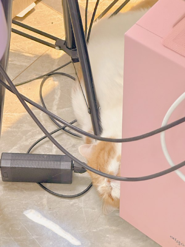 #b站相册动态 “新年快乐[真相大面包的表情包_爱你]   平安喜乐[真相大面包的表情包_爱你]”9 秒前 | -三松许-