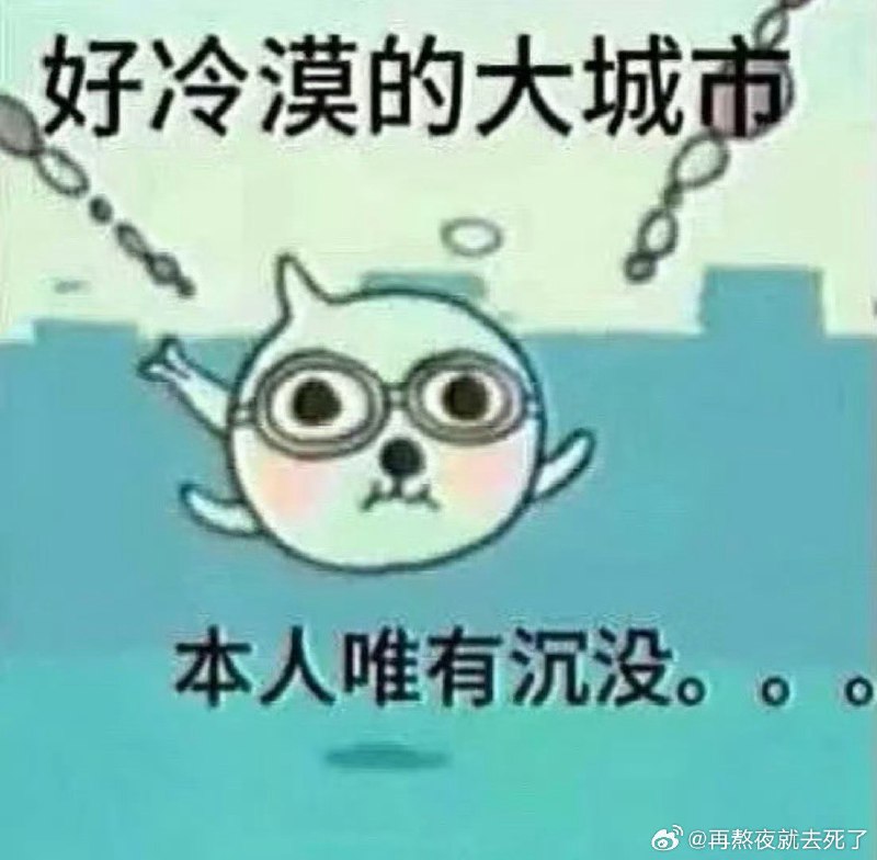 #b站相册动态 8/9