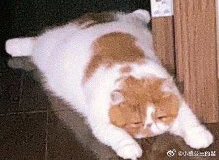 #b站相册动态 9/9