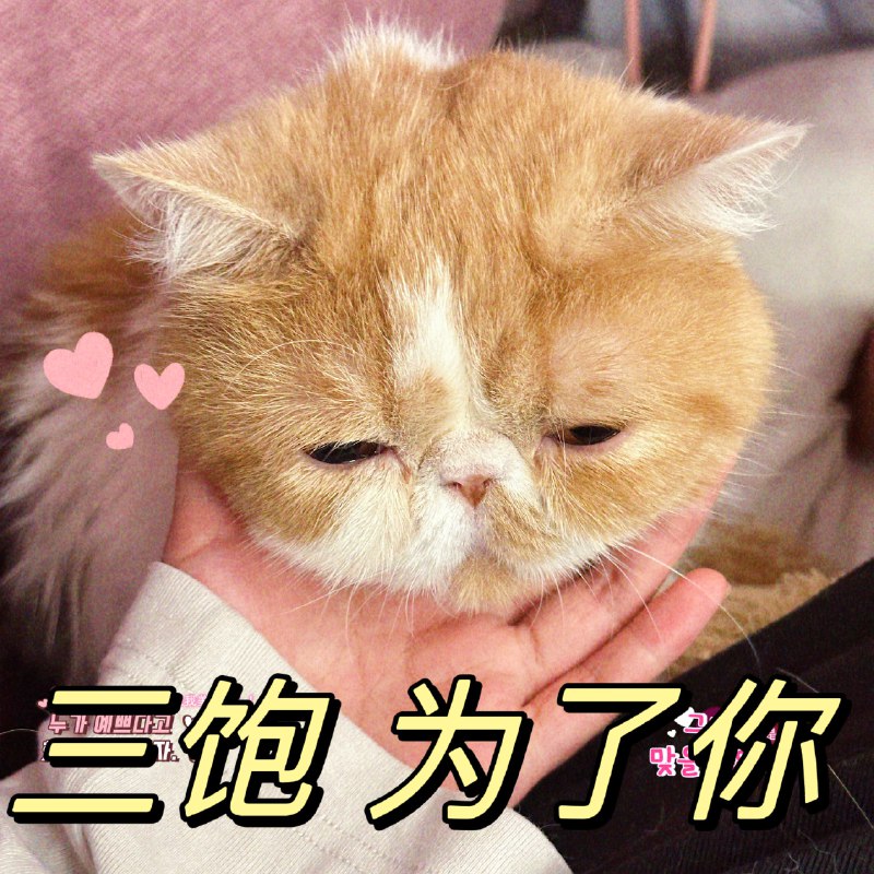 #b站相册动态 共 3 张