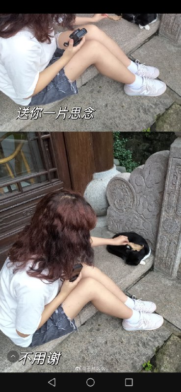 #微博评论回复 我不熬夜了 能长头发吗被回复的评论 13 小时前 @自作主张小心