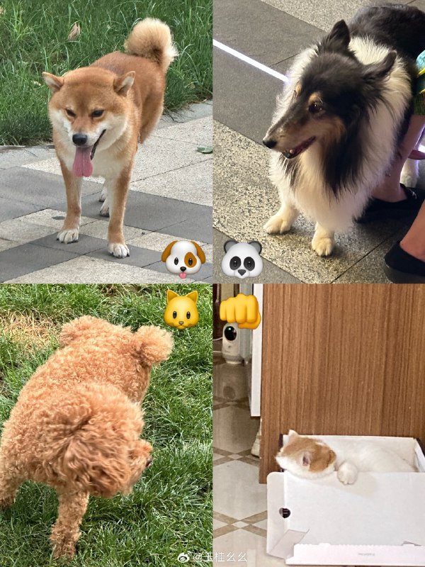 #微博照片 4/9