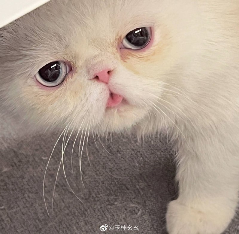 第十张