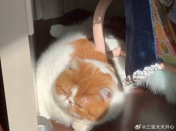 #b站相册动态 8/9