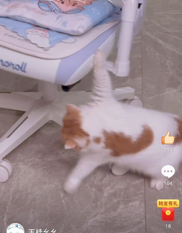 #微博评论回复 “终有些惊奇的机遇”被回复的评论 19 分钟前 @玉桂嗷嗷