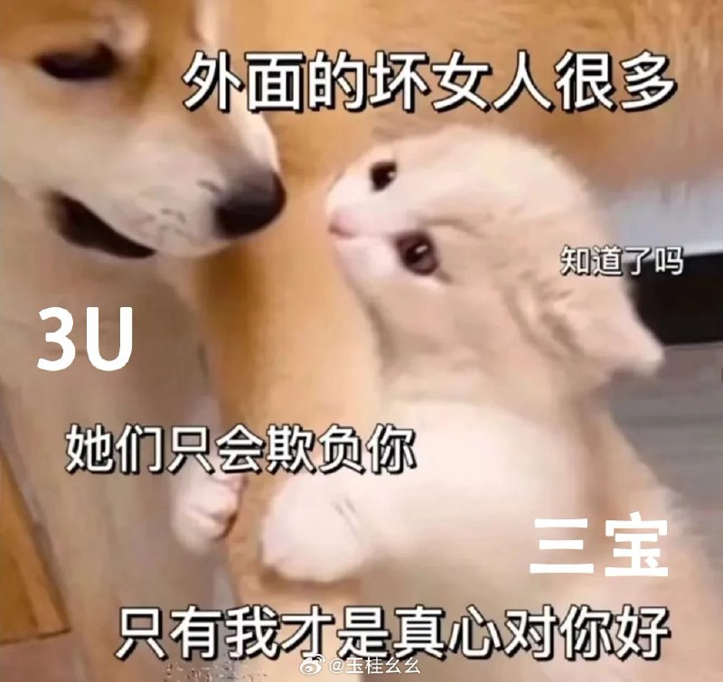#微博照片 2/9