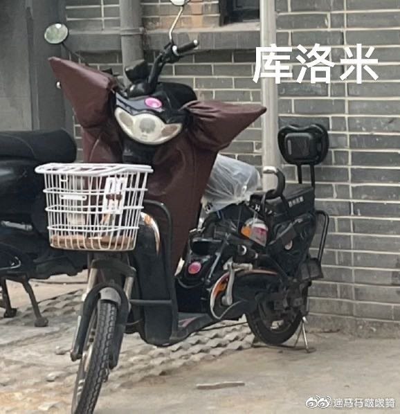 #珈乐魂 #微博评论回复 谢谢 真相感动哭了被回复的评论 1 天前 @马马啵啵骑