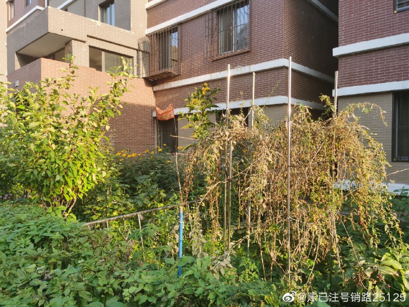 #珈乐魂 #微博评论回复 美妙！被回复的评论 3 分钟前 @账已注号销路25125