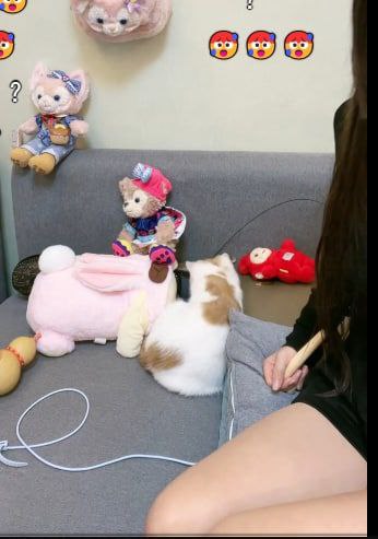 来点大伙想看的东西来点大伙想看的东西